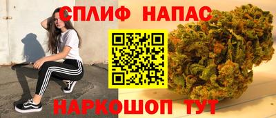 крисы Ирбит