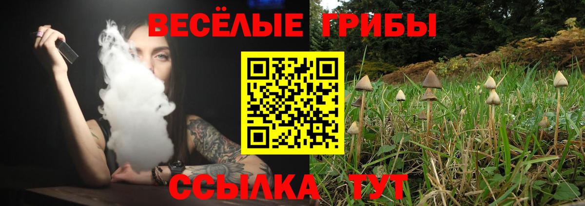 Лангепас  купить закладку  Псилоцибиновые грибы GOLDEN TEACHER  Вход с VPN  Галлюциногенные грибы мухоморы 